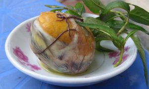 Quasi frisch aus dem Ei gepellt. Meine Damen und Herren - Hot Vit Lon! (Bild: Wikimedia Commons)